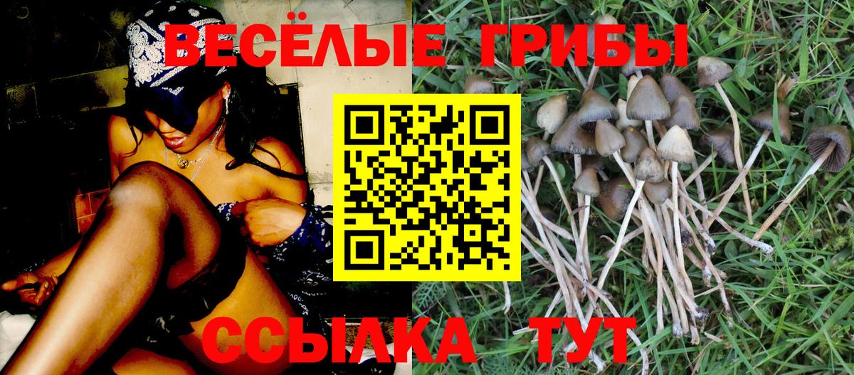 Галлюциногенные грибы Magic Shrooms  Вход с VPN  Лениногорск  Псилоцибиновые грибы ЛСД 